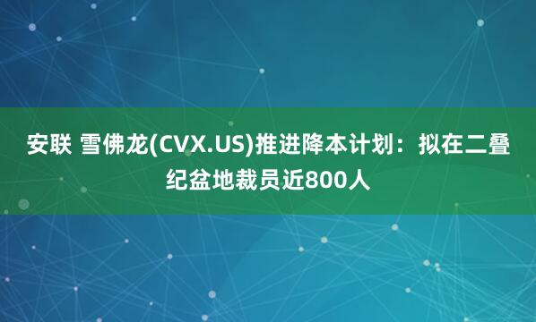 安联 雪佛龙(CVX.US)推进降本计划：拟在二叠纪盆地裁员近800人