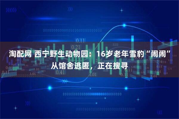 淘配网 西宁野生动物园：16岁老年雪豹“闹闹”从馆舍逃匿，正在搜寻
