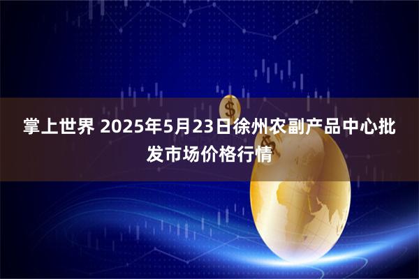 掌上世界 2025年5月23日徐州农副产品中心批发市场价格行情