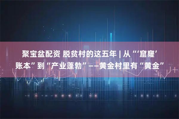聚宝盆配资 脱贫村的这五年 | 从“‘窟窿’账本”到“产业蓬勃”——黄金村里有“黄金”