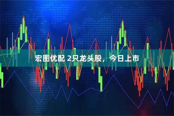 宏图优配 2只龙头股,今日上市
